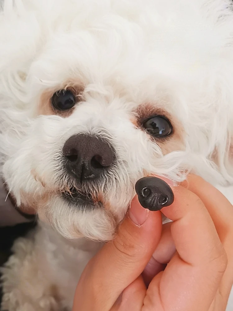 10pcs Plastic Noses for Teddy Bear Dog Puppy Amigurumi Crochet Felt Stuffed Toy Plush Animal Making