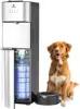 Cleaning Water Cooler Water Dispenser with Pet Bowl- 2 Temperature Settings - Hot & Cold, Durable Stainless Steel Construction, 1