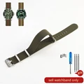 Army Green-Steel