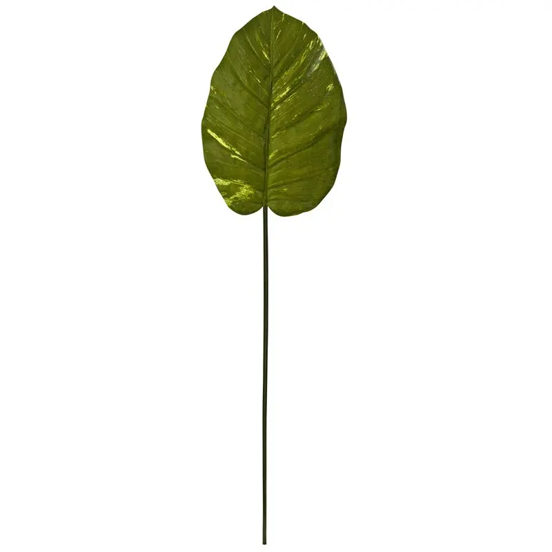 

Artificial Pothos Leaf (Real ) (Set of 12)