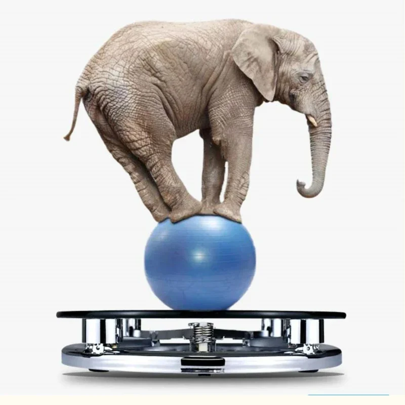 Robust Household Scale, Precision Weighing Tool,Large Visibility,Daily Use,Durable Family Weight Monitor-Reliable Measurements