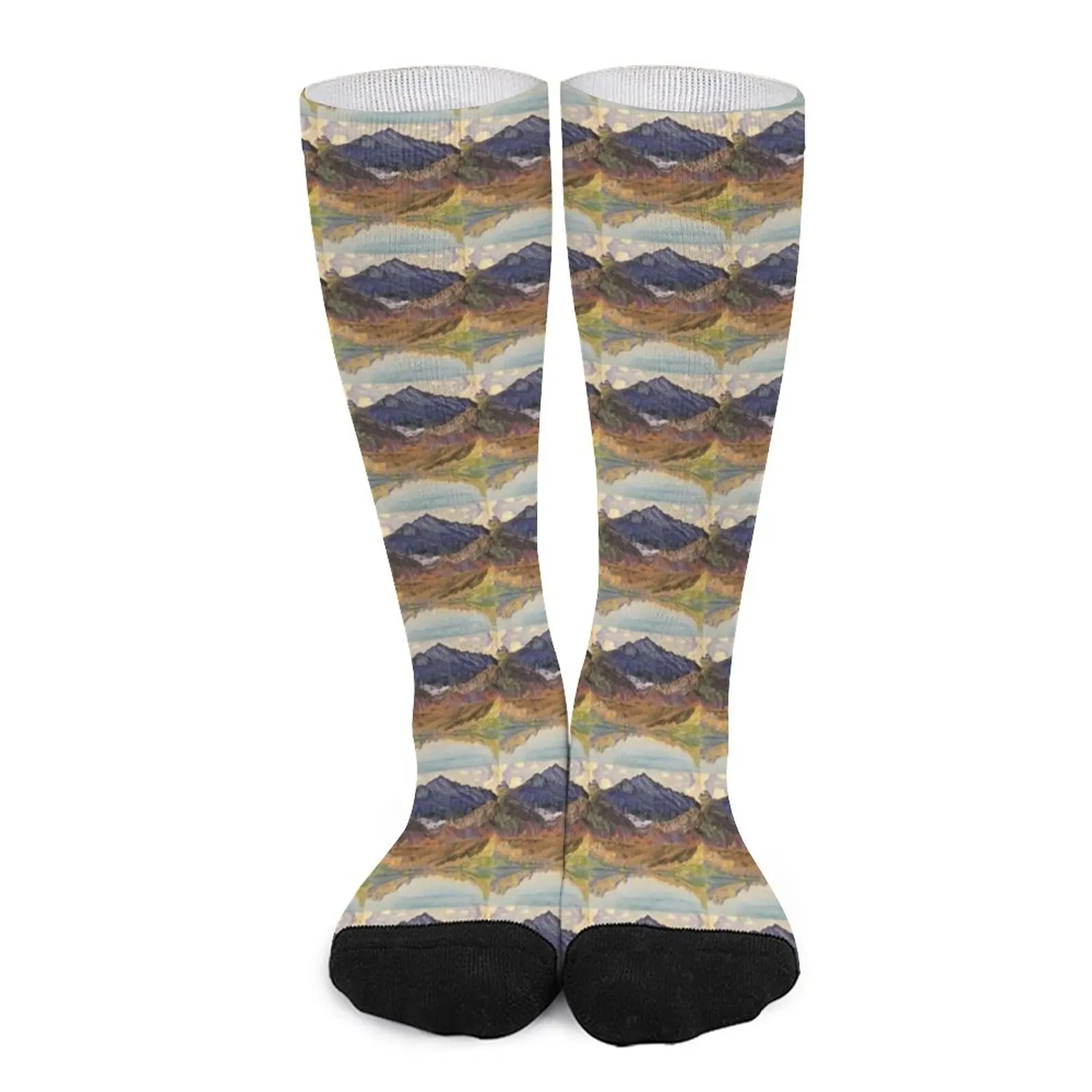 Ferdinand Hodler n.1 Socks Stockings Men's socks with print gym socks Golf socks