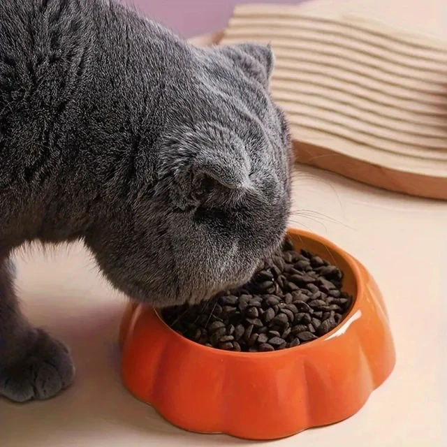 4 cute designs pet ceramics bowl watermelon strawberry shape cat food bowl small dog colorful water suppliers 4