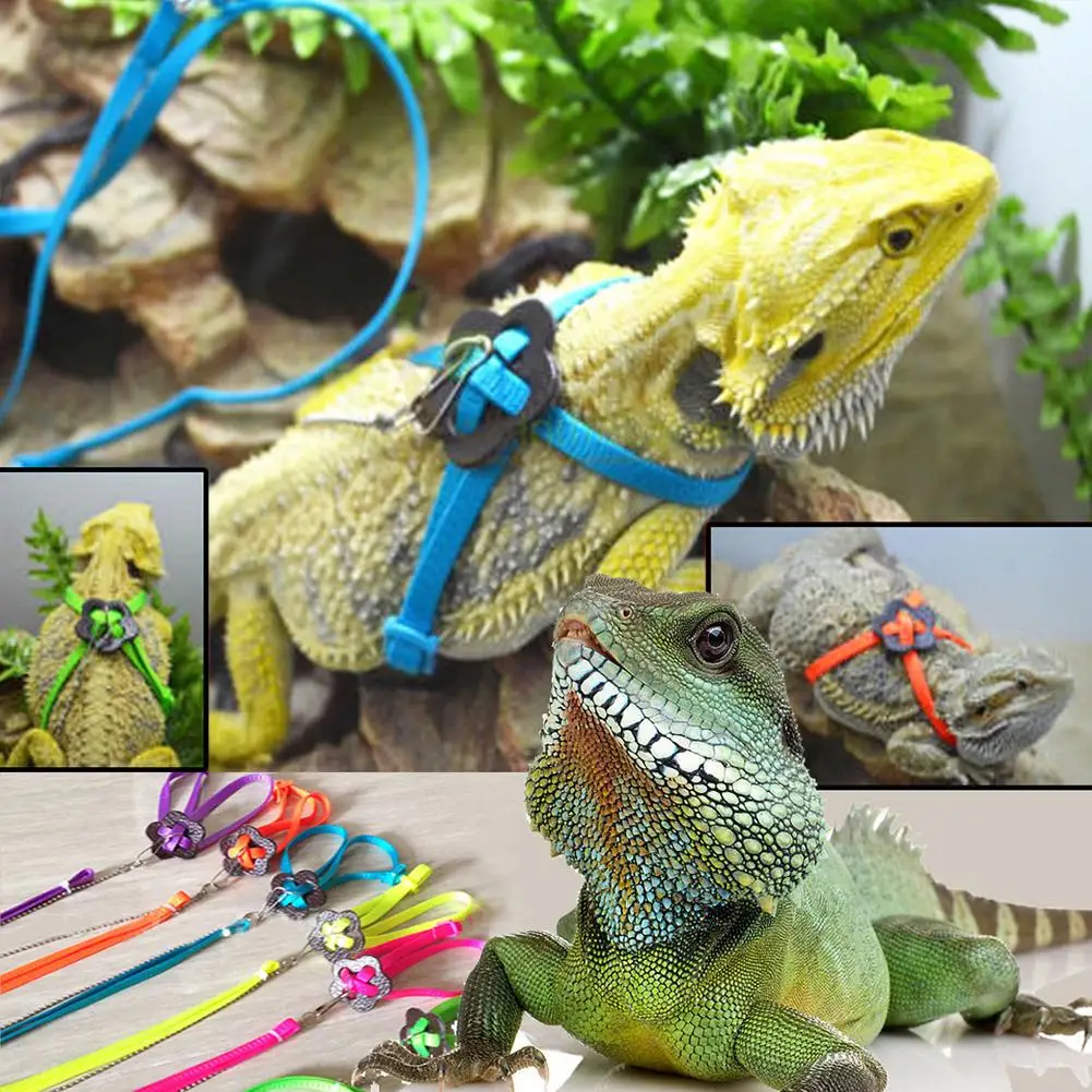 bluederst Pet Leather Harness Strap Turtle Lizard Pet Walking Lead Outdoor Training Control Rope Chest Collar 