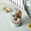 Makeup Brush Holder With Lid Makeup Tool Organizer Lid And Dust Makeup Brush Storage Nail Storage Organizer 2