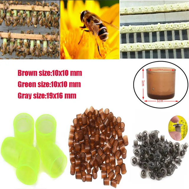1-100 Százalék Méhkirálynő Tenyésztés Új Műanyag Barna/Zöld/Szürke Cella Ketrecek Szoba Csésze Ketrec Méhek Szerszámok Méhészek Felszerelése - Image 5