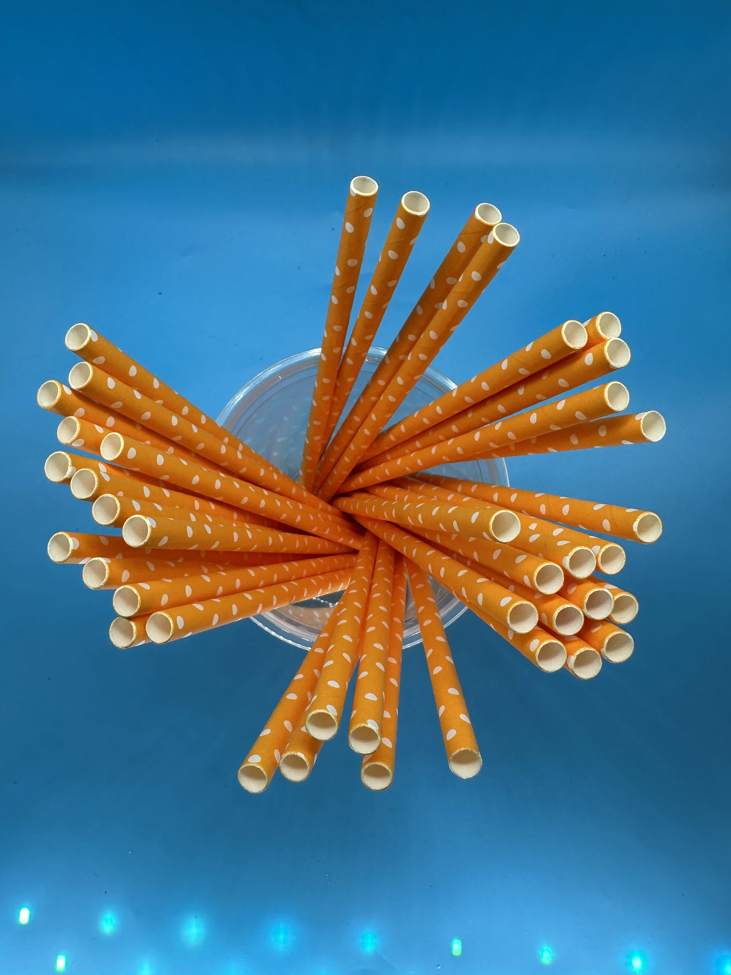 Disposable Biodegradable Straw Which for Canteen Drinking, Bar Artist Straw,Party Decor,Christmas Decor,5000Pcs,Eco Friendly