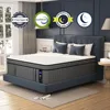 Extra Large Mattress 14 Inch, Gel Memory Foam Mixed Hard Extra Large Mattress, Boxed, with Independent Bagged Spring 6