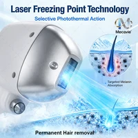 Laser Diode Pico 2-en-1 Mecavie 4000W avec Refroidissement Glacé pour Épilation, Élimination des Pigments de Tatouage et Rajeunissement Cutané, 60M Shots, Certifié CE pour Salons, Garantie 2 Ans 3