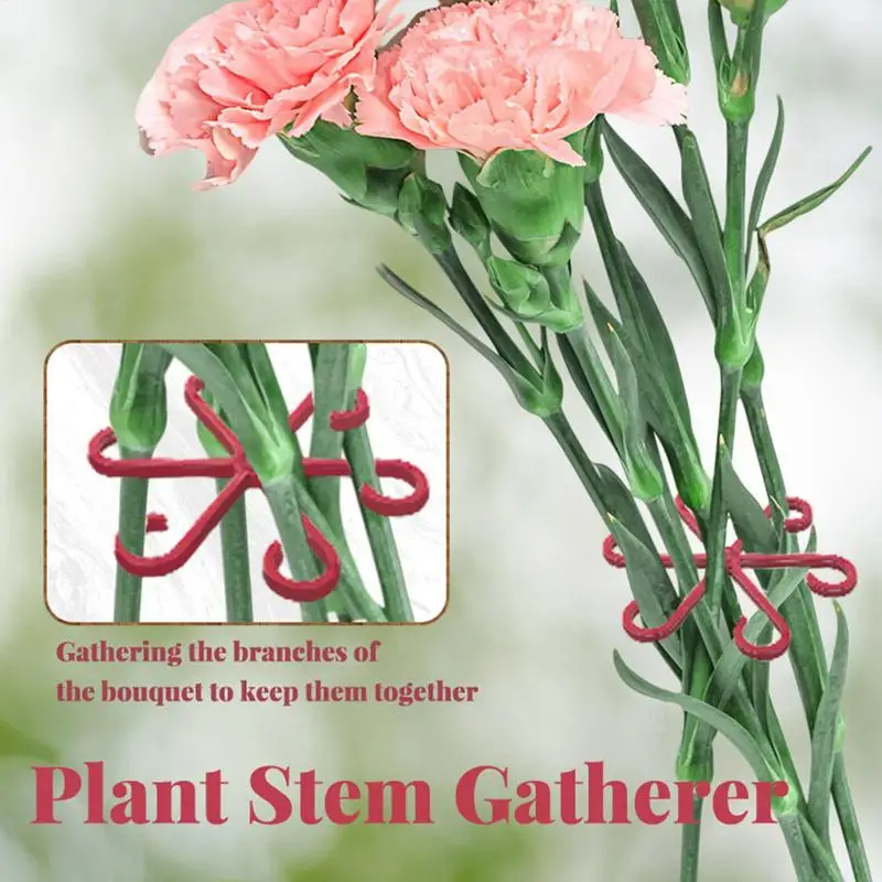 Plant Support Climbing Houseplant Stem Supports 4X Vine Fixed Clips for Climbing Plant Stems Support and Vines Grow Upright