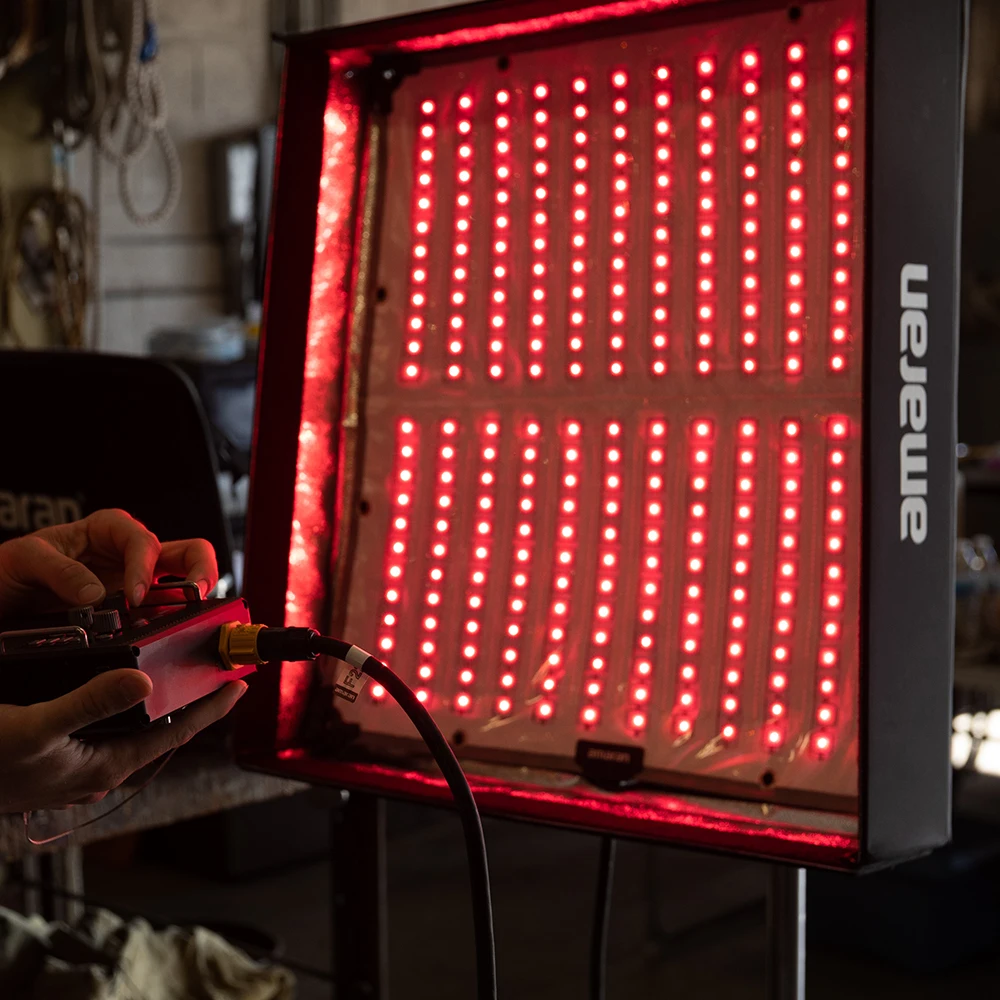Aputure Amaran F22C F22X 유연한 조명, RGBWW 풀 컬러 비디오 조명, 2500-7500K 스튜디오 램프, 그리드 소프트 박스 포함