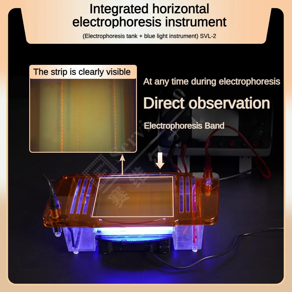 Integrated Horizontal Electrophoresis Instrument (electrophoresis Tank + Blue Light Instrument)
