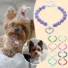 Male Dog Bow Tie Collar for Small Dogs Neck Collars for Cats Pearls And Diamonds Rope Dog Collar Cat Collars for Boys No Bell 1