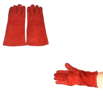 Bird Training Anti-Bite Glove Safety Working Protect from Parrots Chewing