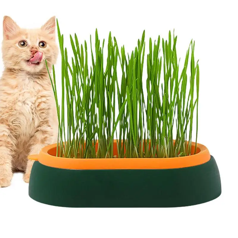 

Pet Cat Grass Planter Box Hydroponic Cat Grass Plant Growing Pot Soil-Free Cat Snacks Germination Nursery Pot Grow Box