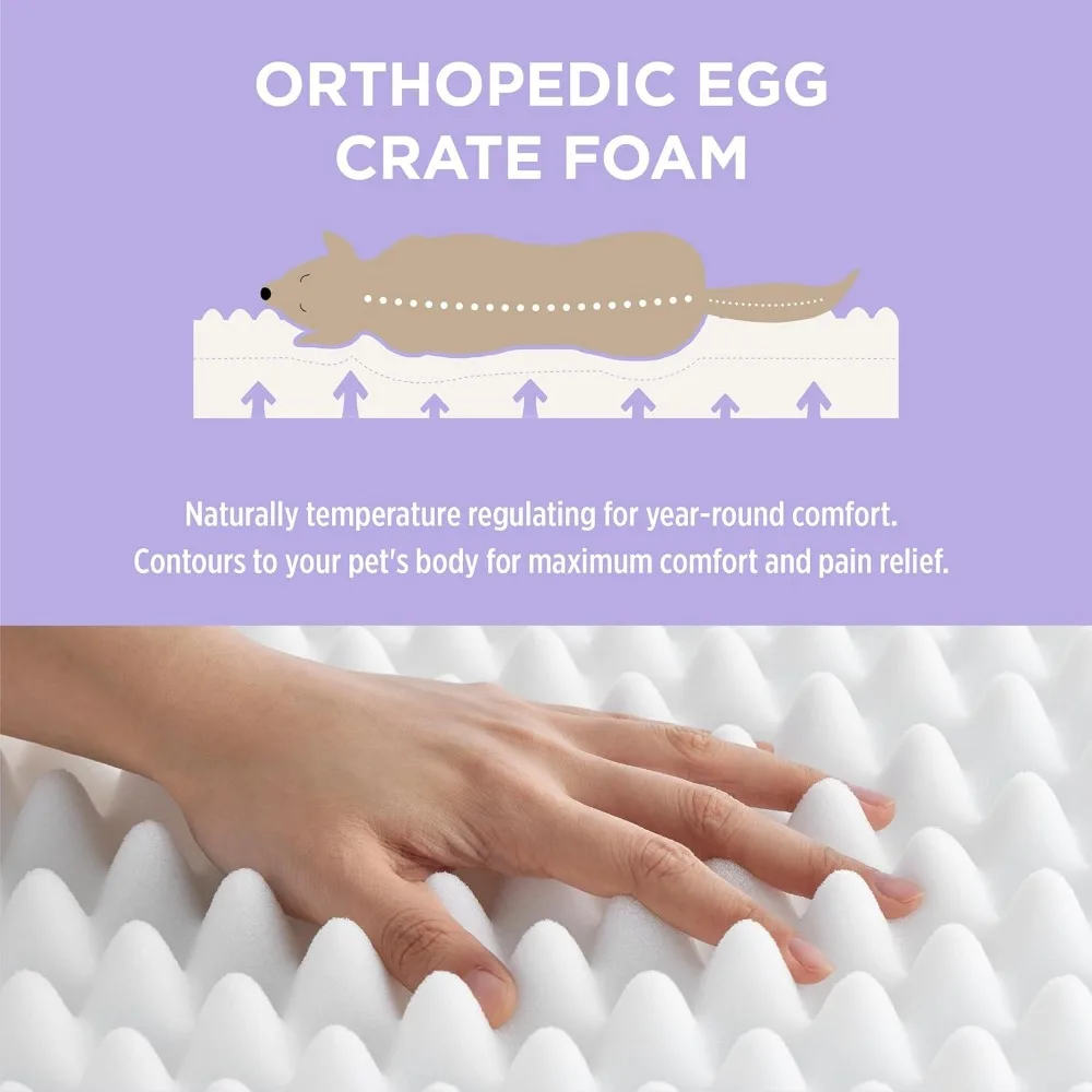 Lesure Human Dog Bed for Adult-Calming Human Size Dog Bed with Egg Foam Supportive Mat and Storage Pocket, Cute Modern Pet