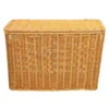 Narrow and Tall Storage Box with Lid Basket Magazine Holder Wicker Plastic Baskets Lids Child 6