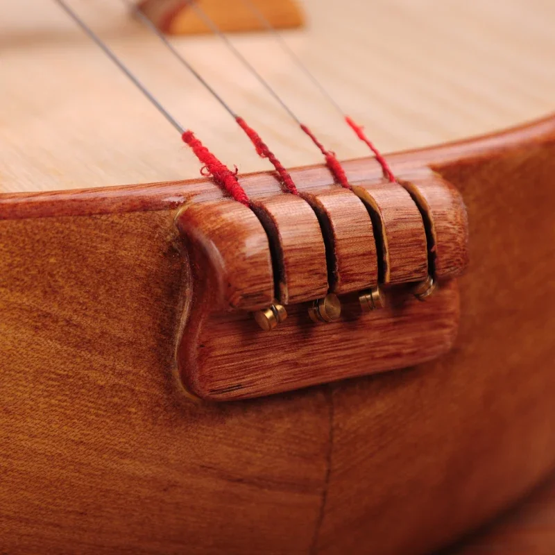 Xiaoruan National Musical Instrument Elm Carved Rosewood Border with Ruan Box Picks