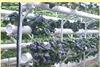 50Pcs Plant Grow Pots Net Nursery Cup Hydroponic colonization Mesh plastic Basket holder vegetable Planter Soilless greenhouse T 4