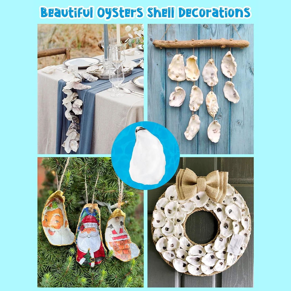 Natural Oyster Shells - Eco-Friendly Vase Fillers for DIY Crafts and Home Decor