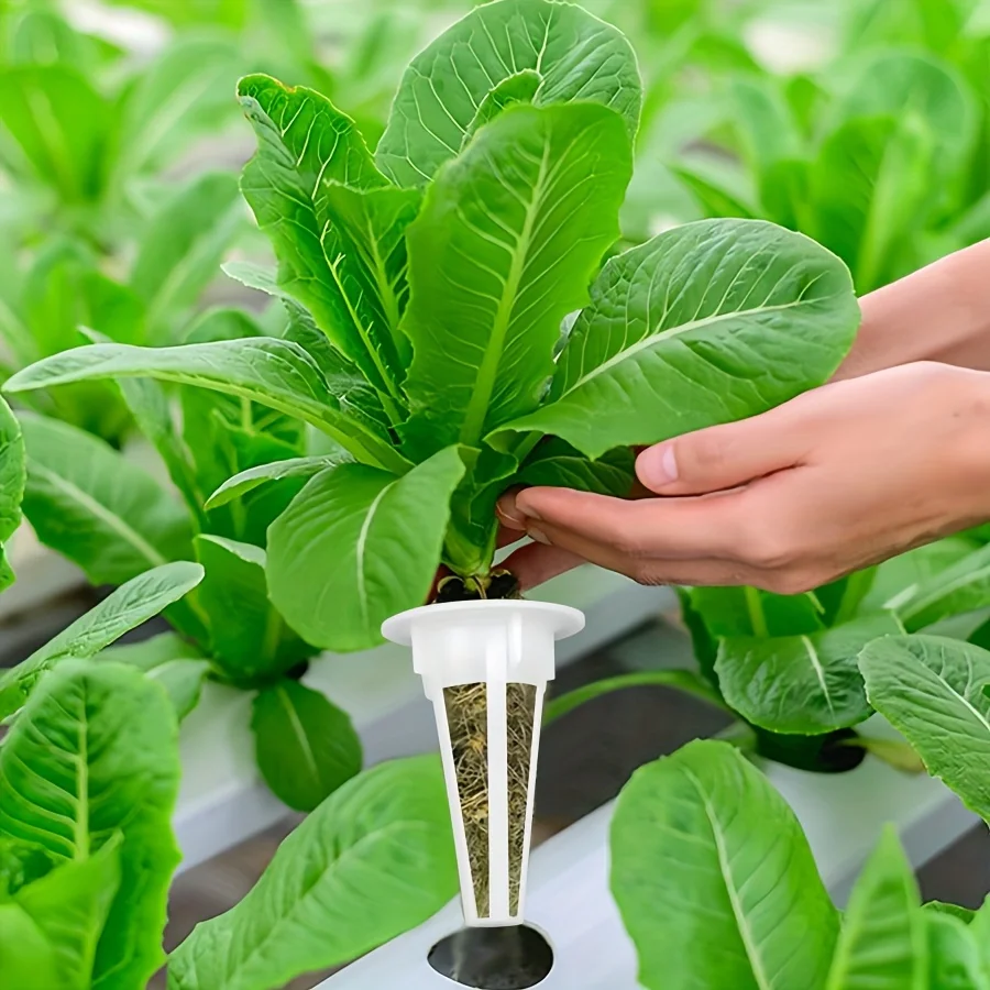 120pcs Hydroponic Garden Accessories Pod Kit Including Grow Baskets Transparent Insulation Lids Plant Grow Sponges Labels For Se hydroponic garden kit
