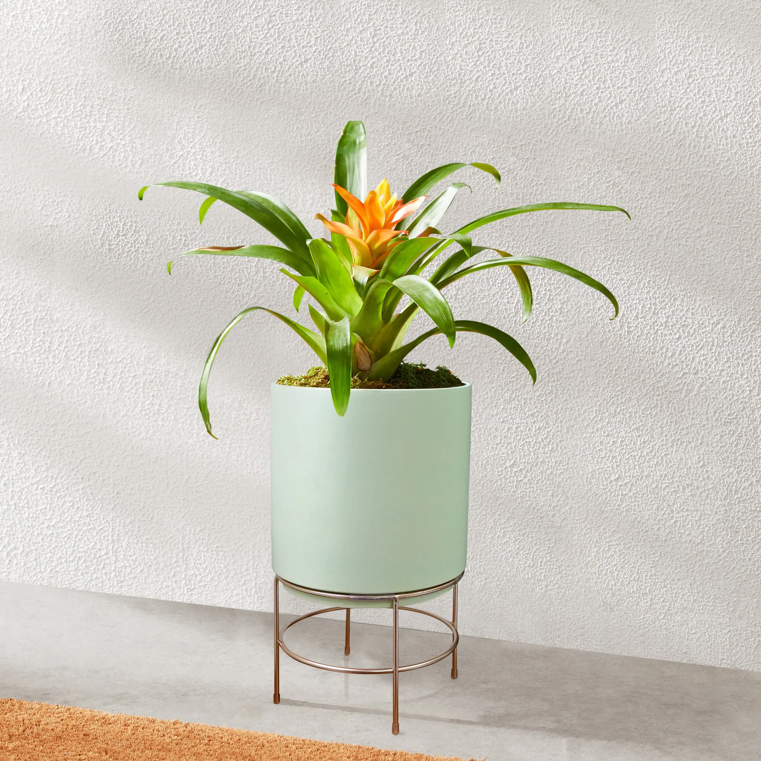 

10 in Dia Green Ceramic Planter with Gold Stand
