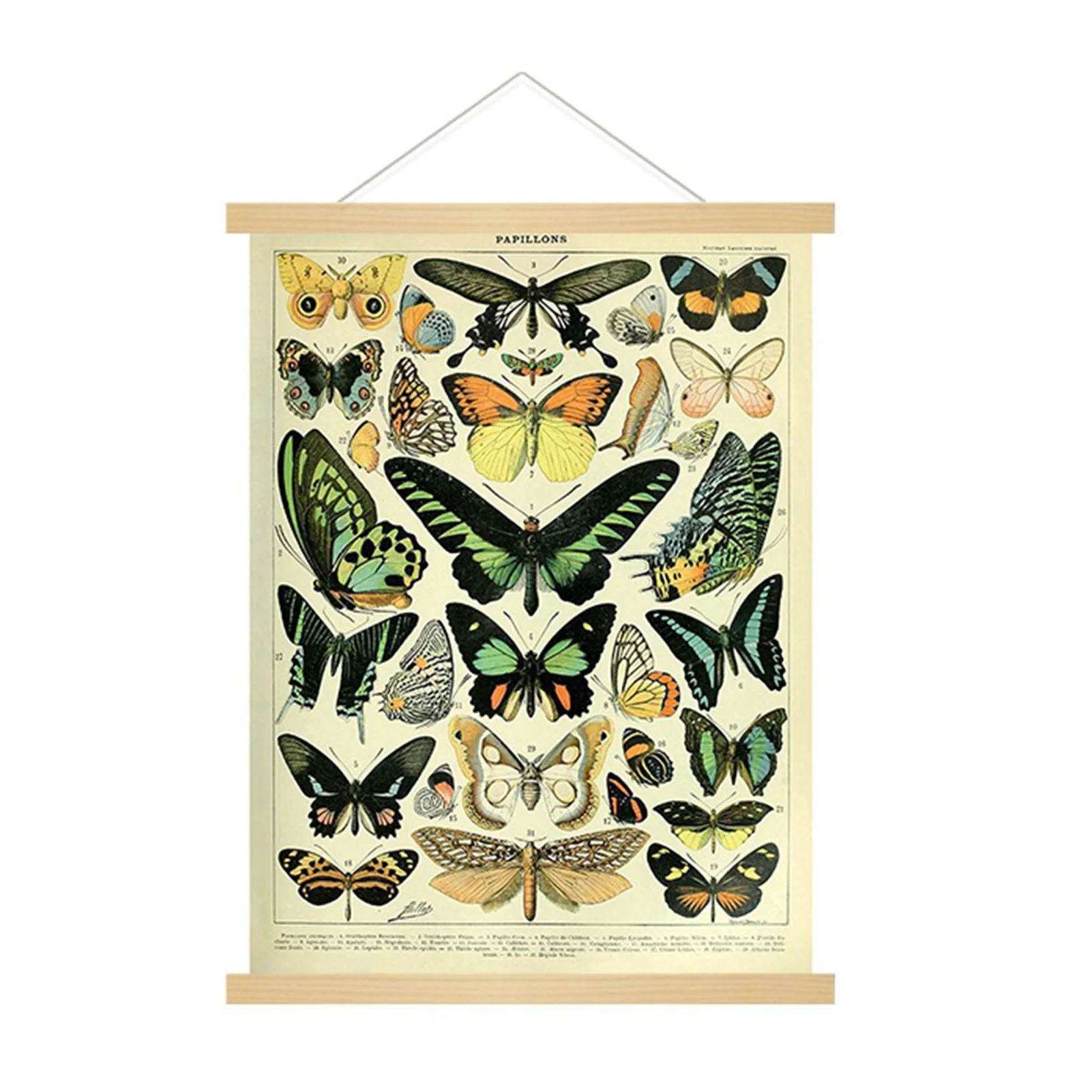 

Colorful Butterflies Hanging Art Poster Natural Material with Solid Wood Scroll Frame Suitable for Birthdays Christmas Gifts