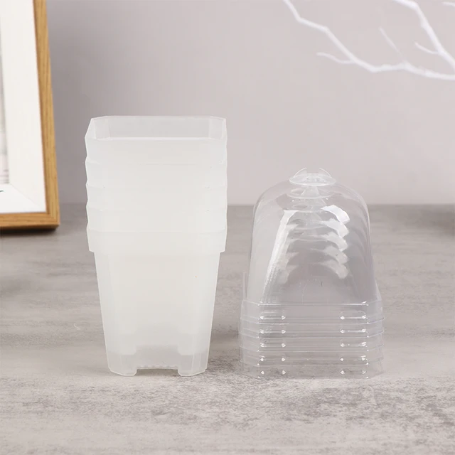 transparent
