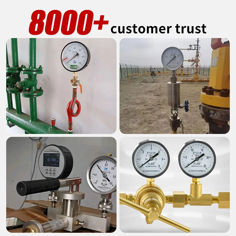 부르돈 압력계 벨로우형 글리세린 충전 오일 충전 액체 충전 기계식 다이어프램 압력계