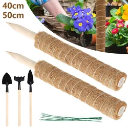 Bâtons de mousse en coco pour plantes, 2 pièces, Totem, Support pour plantes, empilables, pour grimper, plantes en pot d'intérieur, avec 10 attaches de câble 