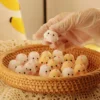 1/2Pcs Mini Kawaii Slow Rebound Relief Squeeze Toys Sticky TPR Squishy Mini Chick Stress Reliever Toys Squishy New Fidget Prop 4