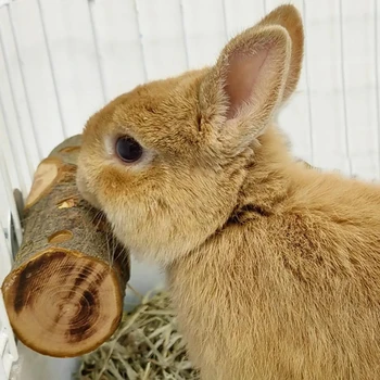 Apple Wood Small Pet Chew 1