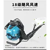 Four-stroke 850 Gasoline Blower High Power Backpack Winter Snow Blower Wind Extinguishing Leaf Road Blower 75.6 CC 6