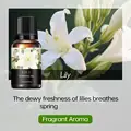 Lily