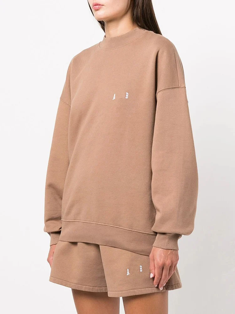 

2023 Women Autumn O neck Loog Sleeve Camel Color Fashion Embroidery Letter Logo Pullover Loose Sweat Shirts