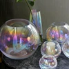 Iridescent INS-style multicolored ball glass vase holographic hydroponic flower glass ware home rose lily flower arrangement 1