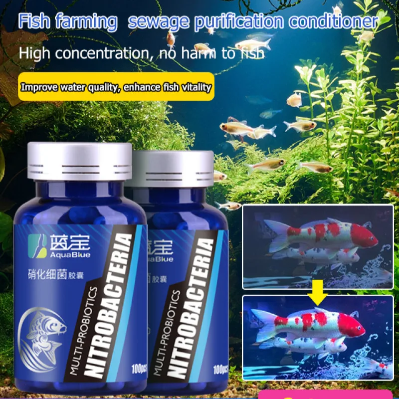 Concentrated Nitrobacter Fish Tank Water Purifier Capsules for Stable Water Quality and Improved Aquatic Life in Other Aquarium fish tank water purifier