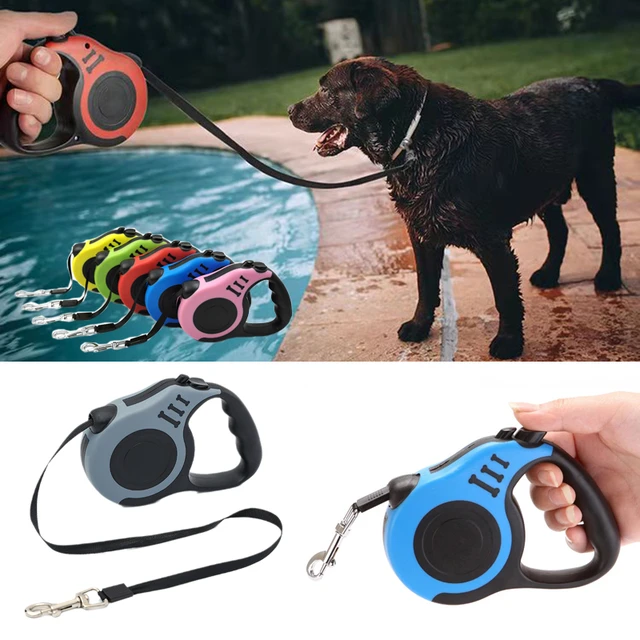 Which Is The Best Retractable Dog Lead