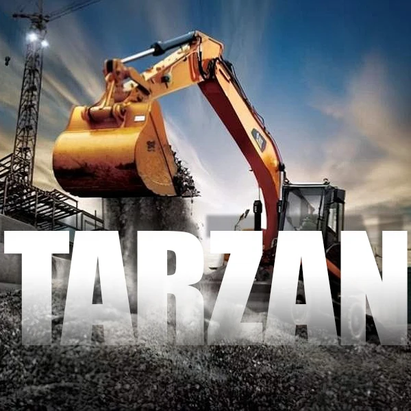 Tarzan Engineering Machinery Parts Store