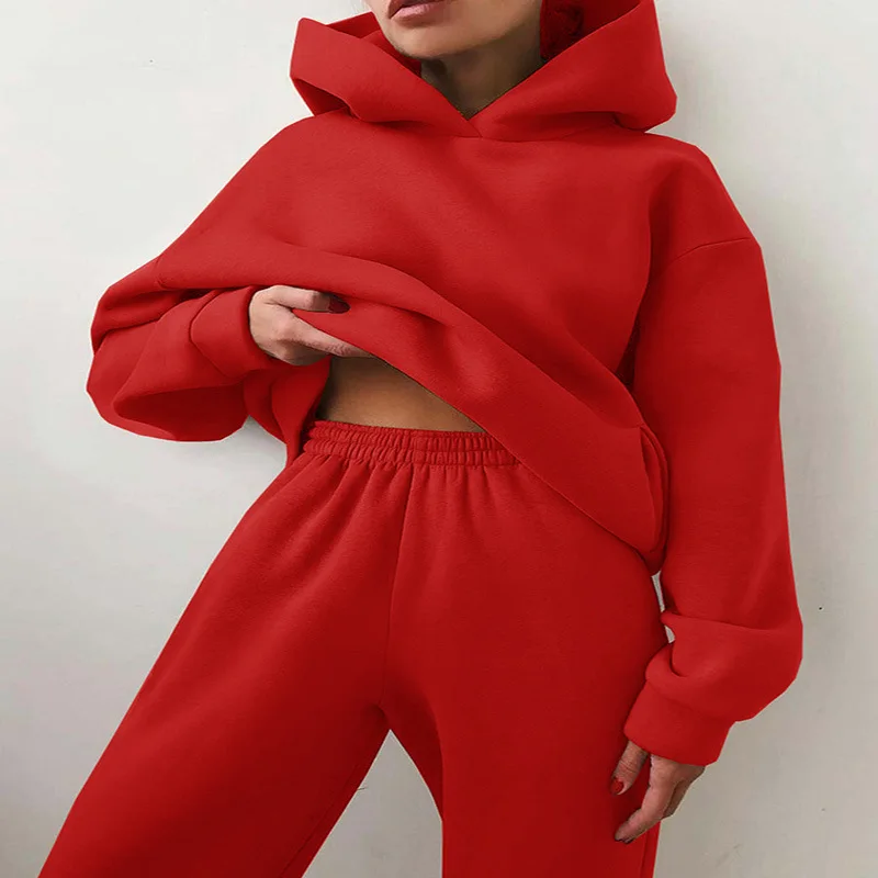 Women's Tracksuit Casual Solid Long Sleeve Hooded Sport Suits Autumn Warm Hoodie Sweatshirts and Long Pant Fleece Two Piece Sets 