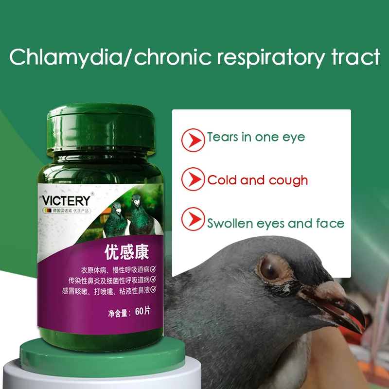 

Pigeon Chlamydia Chronic Respiratory Fever Bird Parrot Pigeon Medicine 60 Tablets