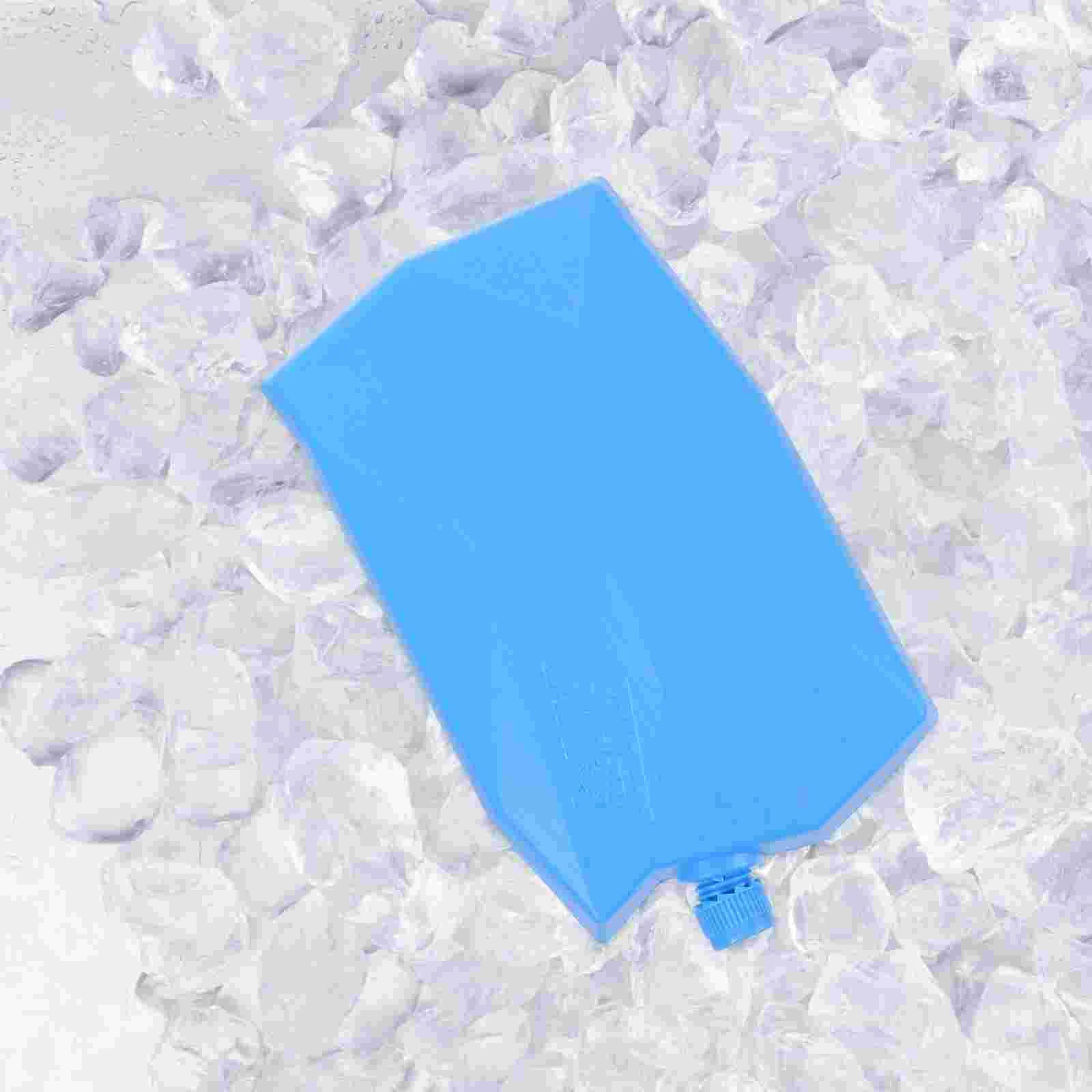 4 Pcs Ice Storage Reusable Bag Bin for Freezer Cube Cooling Boxes Empty Lunchbox