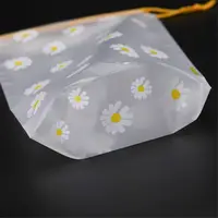 Drawstring Waterproof Matte Packaging Storage Bag Transparent Storage Bag Clothing Wardrobe Storage For Household itemsTravel 2