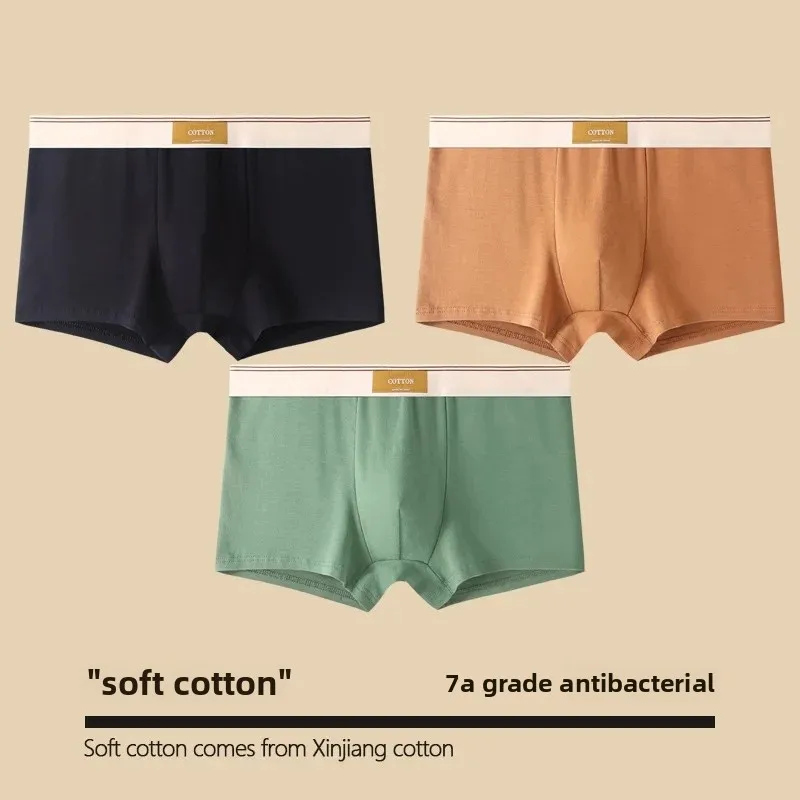 Cloth label [pure cotton -3 pack] black + Brown + Bean Green