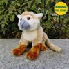Squirrel Monkey Plush Toy High Fidelity Monkeys Plushie Saimiri Sciureus Peluche Lifelike Stuffed Animals Simulation Doll Toys 4