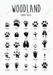 

Metal Sign Animal Tracks Tin Sign Bar Home Decoration New Year The Best Gift for Parents, So That Children Can Gain posters
