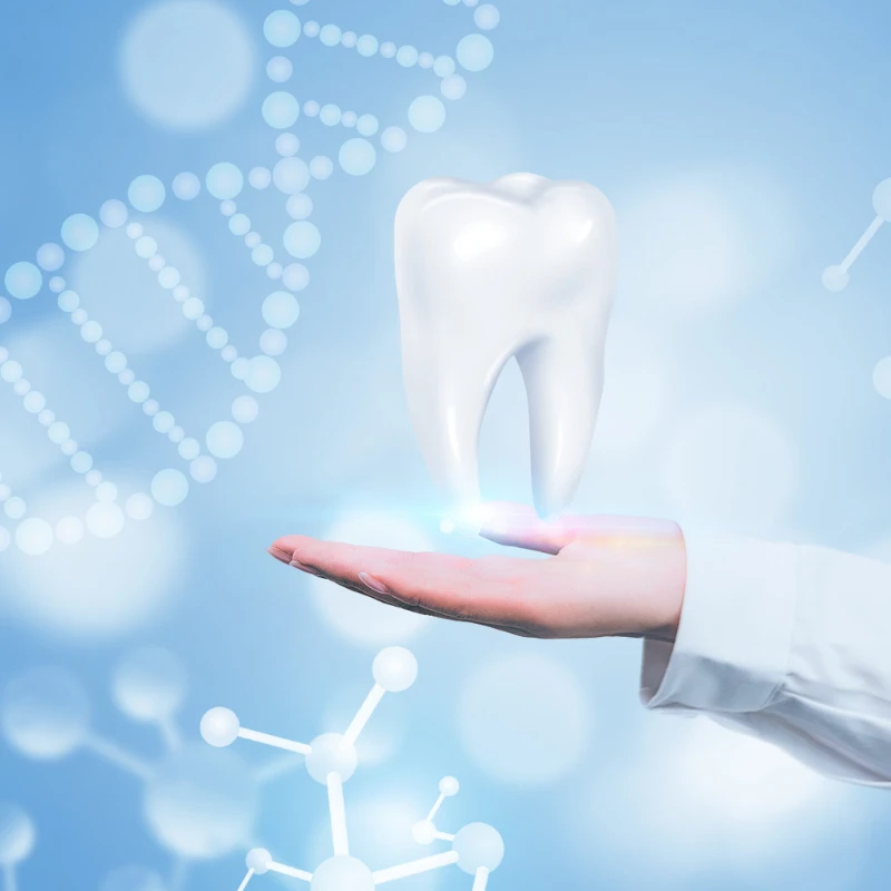 Perfect Dentistry Store