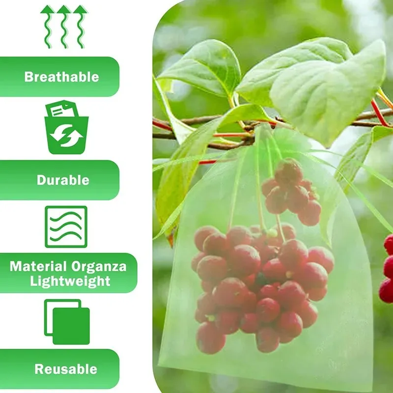 50 Stuks Fruitbeschermingszakken Druivenfruitzakken Met Trekkoord Voor Plantenfruitbomen Bloementuinbedekking Netzakken