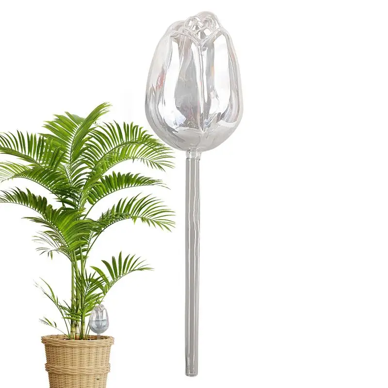 

Self Watering Globes Self Watering Planter Insert Automatic Watering Spikes Clear Plant Watering Devices Watering Spikes Ndoor