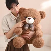 35cm 50cm 60cm Teddy Bear Throw Pillows Soft And Comfortable Stuffed Animals Kawaii Home Decoration Holiday Gift Send Family 4